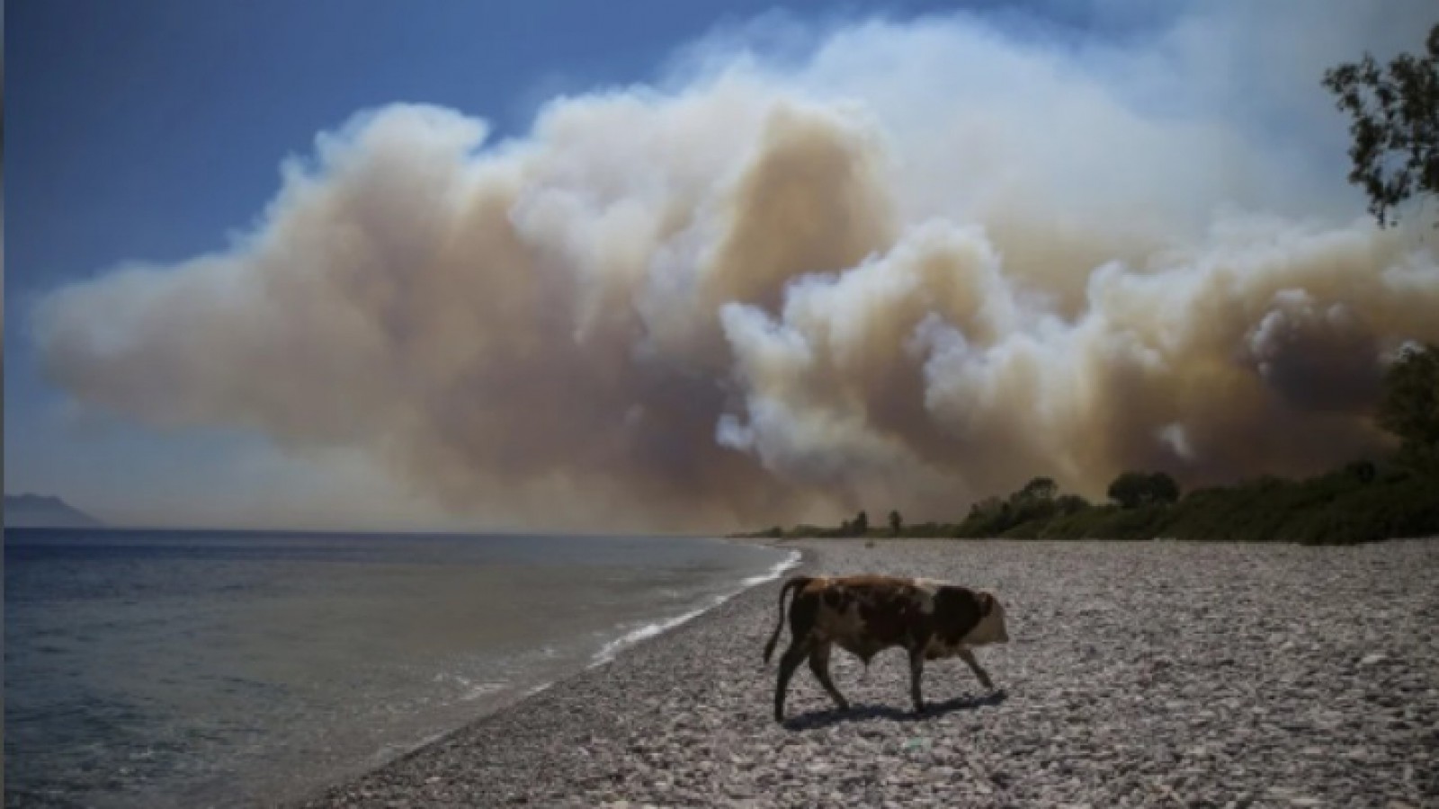 Advierten que si no se toman medidas contra el cambio climático, en 2030 habrá una catástrofe y media por día